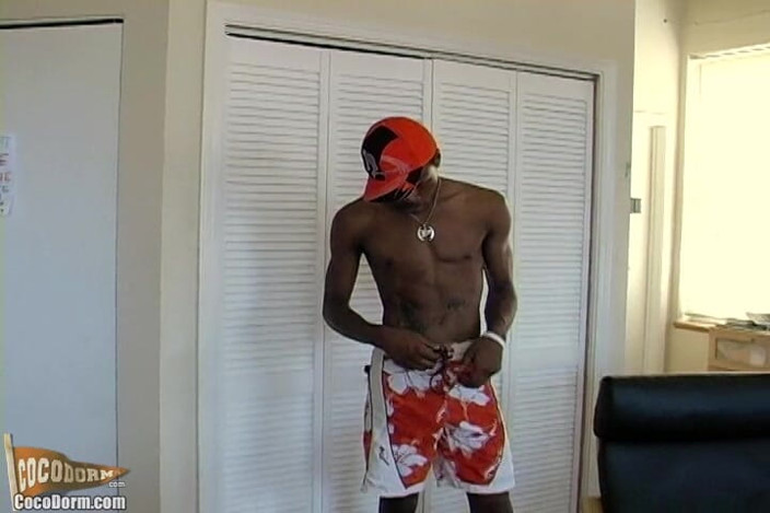 CocoDorm: Breion Diamond