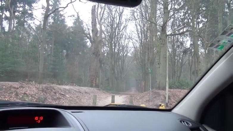 Rocco Siffredi porn: Milf suger kuk i bilen