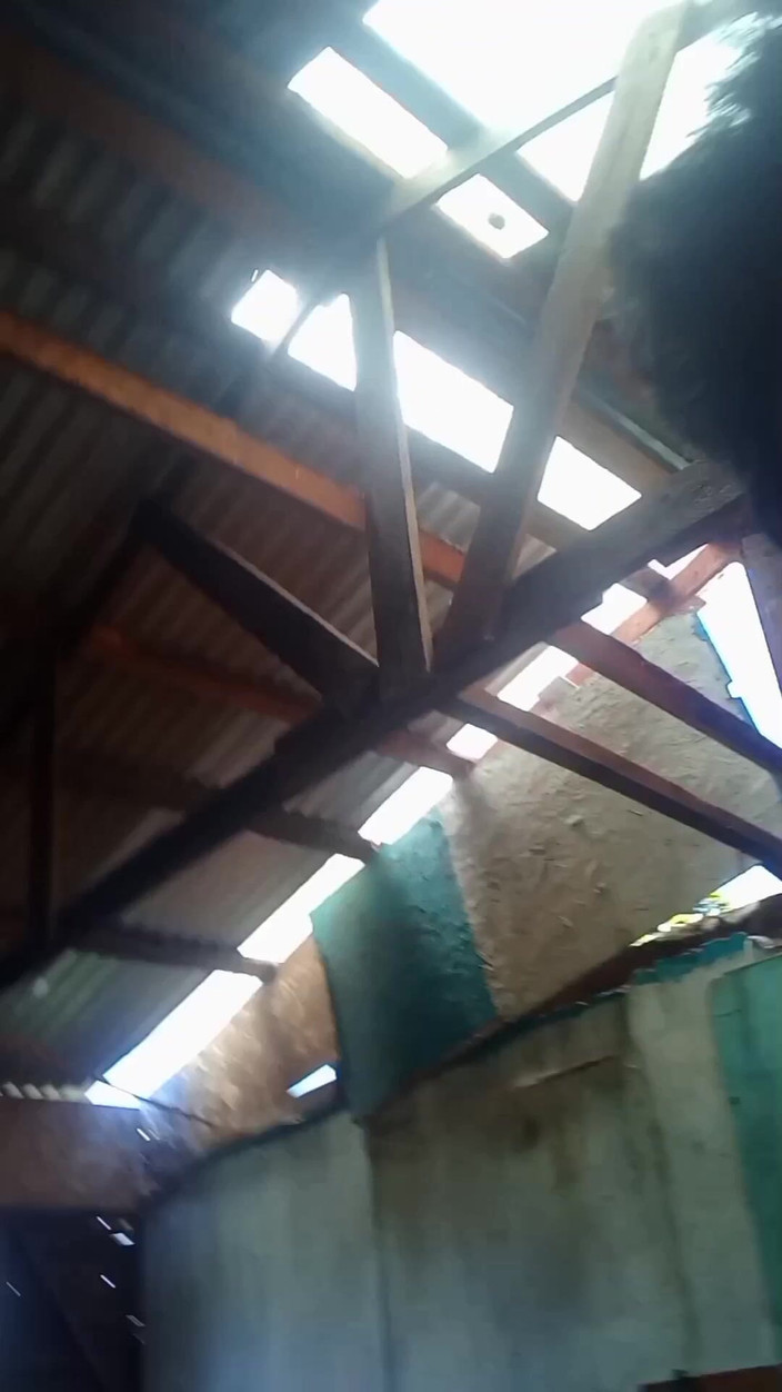 Dog4242: Trưởng thành trên ghế bành