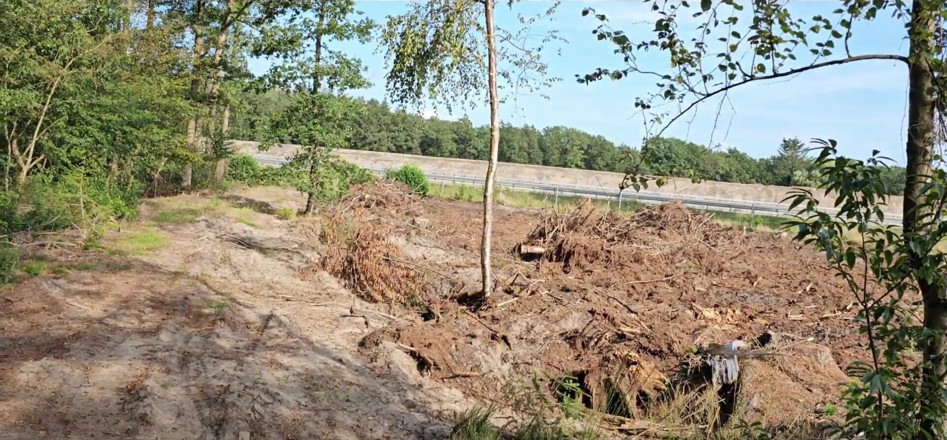 UserBitch1: Blasen Und Ficken Im Wald