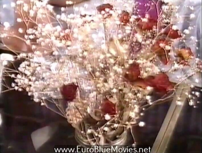 BluePlayer: Ідеальний незнайомець (1988)