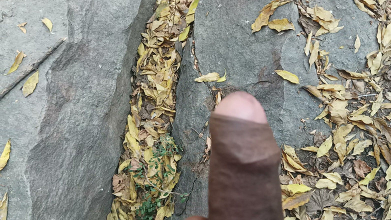 Suthavillagexxx: Ragazzo tamil si masturba nella foresta