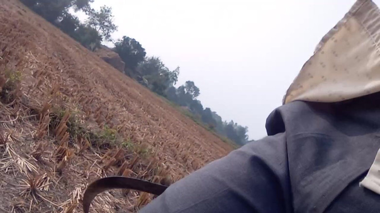 HotboyIndian: 인도 소년 섹스 비디오 보디빌더 대물 자지