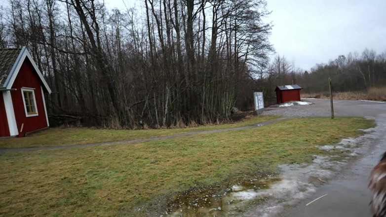 Eronordic: Ragazza bionda sexy all'aperto che ama il cazzo