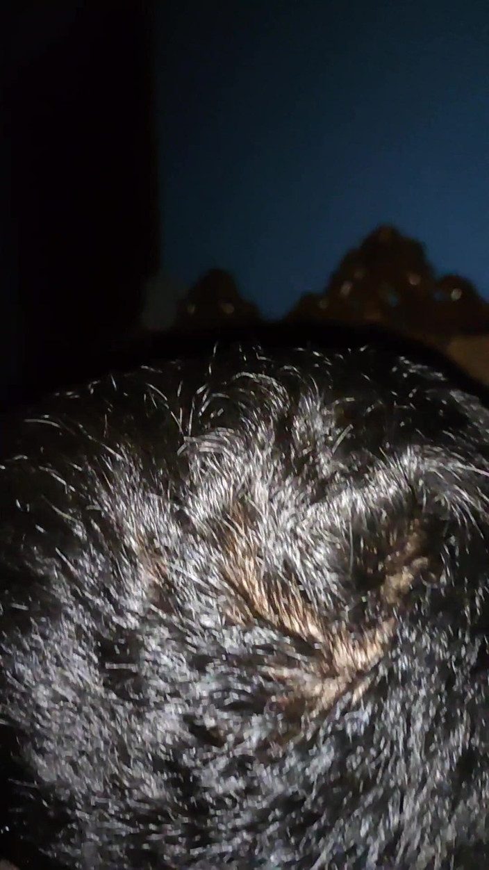 Ahpanal: 인도 게이 핥는 펠라 후장