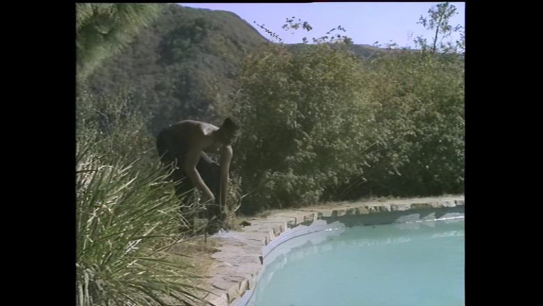 Vintage megastore: Der italienische retro-pornostar moana pozzi bekommt beim interracial fick ihre...