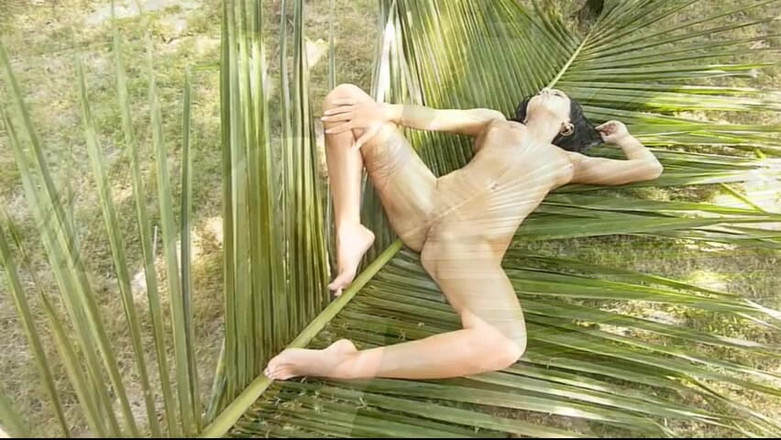Watch4beauty: 椰子