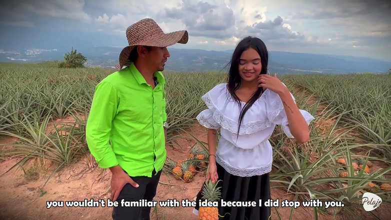 Pelaje mix: Un contadino voleva raccogliere l'ananas e invece piantava la cassava...