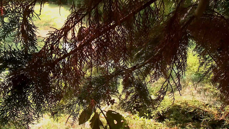 Horny girls want to fuck: Ateşli Sarışın Komşu Oturma Odasında Sert Sikiliyor