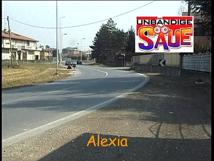 SinWorld - Just the best in porn: Unbandige ferkel - 无拘无束的小猪