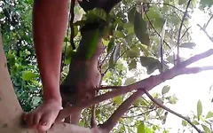 I Like to Pissing in the Tree and Bengali Dirty Audio