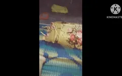 Seks hardcore gaya anjing toket rumah besar pantat besar pacar seks lokal pacar seks pagi-pagi