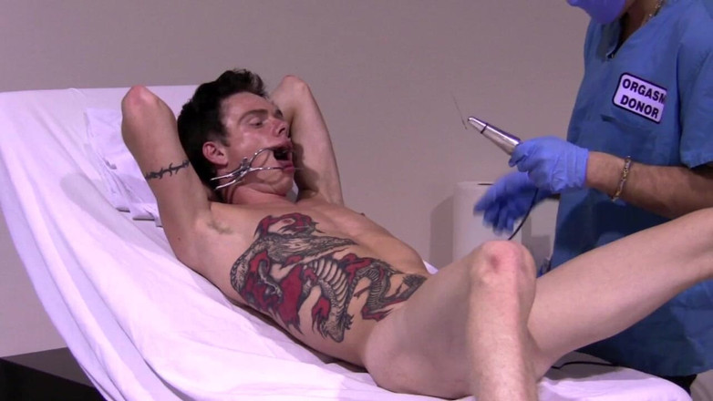 Dream Boy Bondage: Donatorul de orgasm - capitolul 6