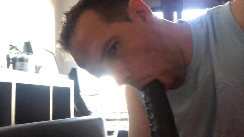 Vicus x: ソロ 2014