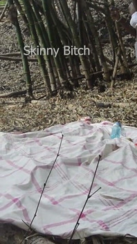 Tình dục ngoài trời trong rừng