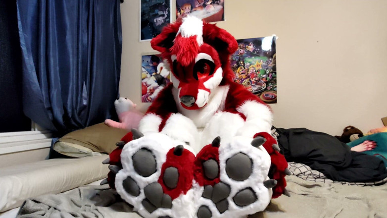 PawgrammerSocks: Honění a ukazování footpaws v kombinéze s celým tělem