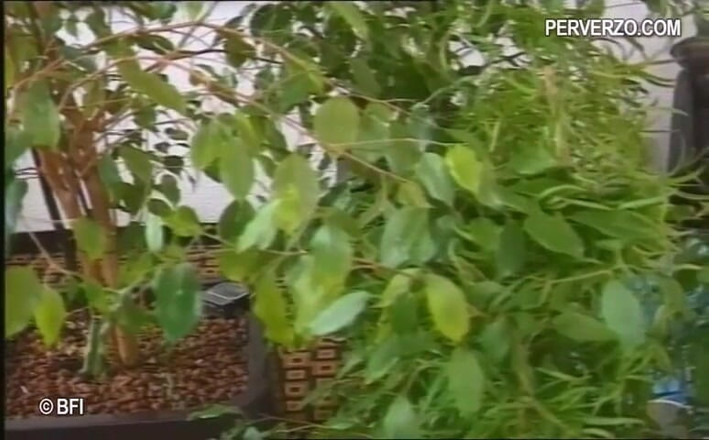 Amazing asses and pussies: kaamuk paripakv mahilaon ko unke patiyon dvara choda gaya - dvd