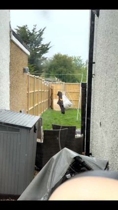 Robyn Quinn: Tuve que usar mi consolador extra grande en una llamada...