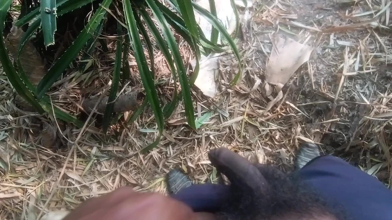 Kunukuni: Village Girls Bhabhi, garoto da selva bombeando a mão