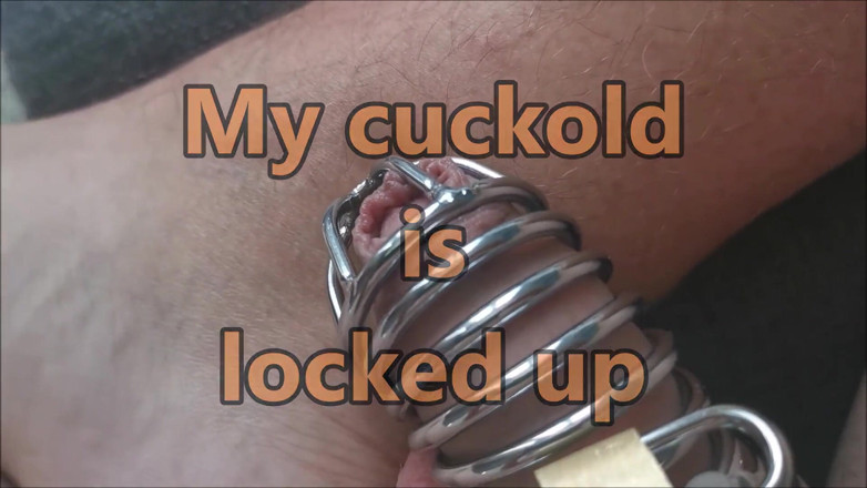 Cuckoby: Un cocu est enfermé et sa femme baise avec un étalon