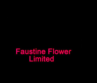 Faustine: Sexy crossdresser, vysoké podpatky, punčochy, ukazuje zadek péro
