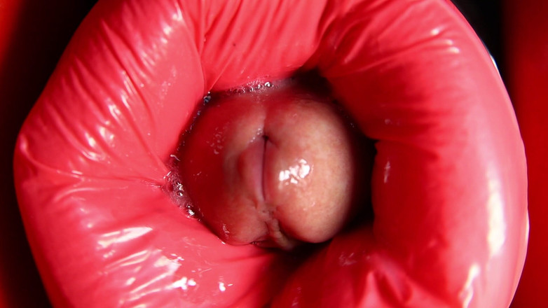 SEXY_GUYBEST: Dinosauří anál