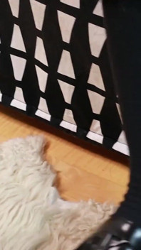 Škádlení nohou na vysoké škole Look: mini sukně, ponožky na kolena a nylonové vrstvy