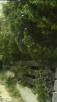 Double Penetration in the Garden