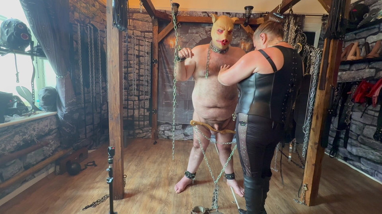 Aaexperiencesltd: Bahagian 2 Babi Dalam Penghinaan Diminta oleh Tom