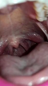 Mouth Tour