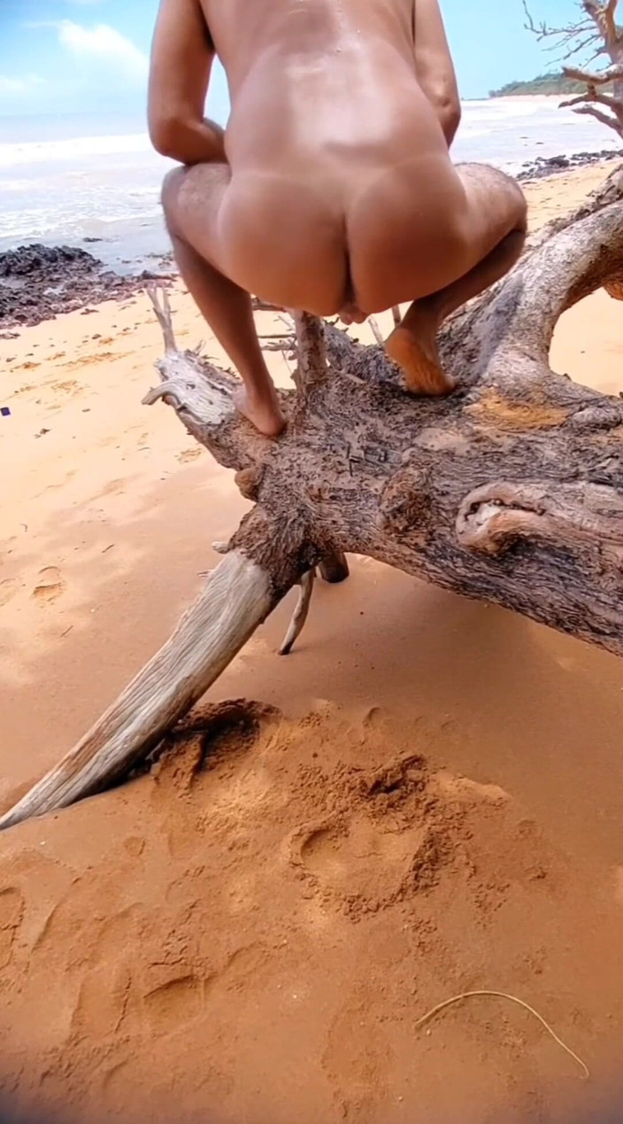 Ladysilvas: Ladysilva