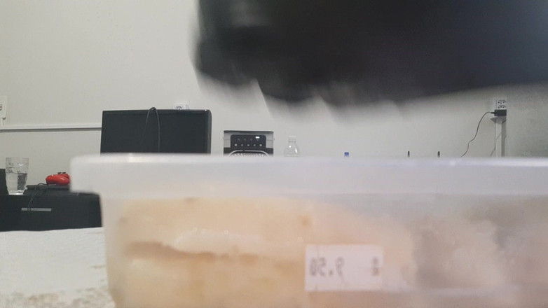 Bladexfeet: ブーツでパイナップルを潰す