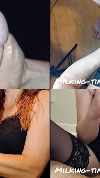 Wszędzie są! Cumpilation na podzielonym ekranie 4