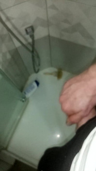 Dám ptáka do nezbedých rukou