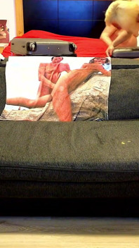 Latest Live Sex Show, Gigi and Dave, Shemale and Man Couple, Webcam 19-09-25 P1
