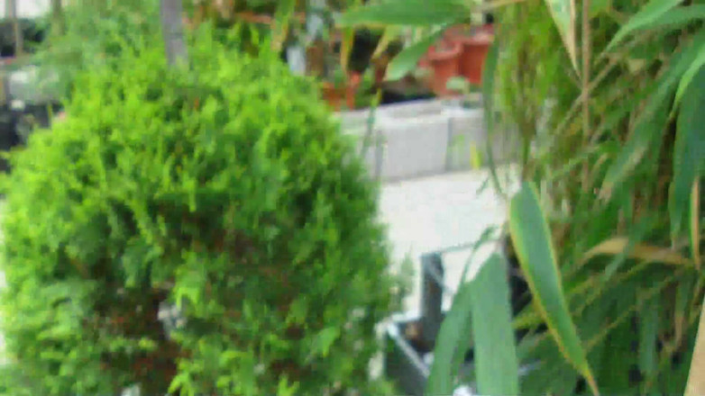 Popp Sylvie: Outdoor cum swallow with Popp Sylvie