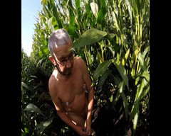 Andy: トウモロコシウォーク