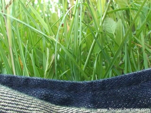 Young Libertines: Une bombasse sexy se fait enculer sur une prairie
