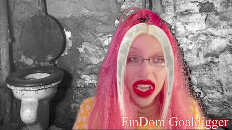 FinDom Goaldigger: Gold toilet transformation