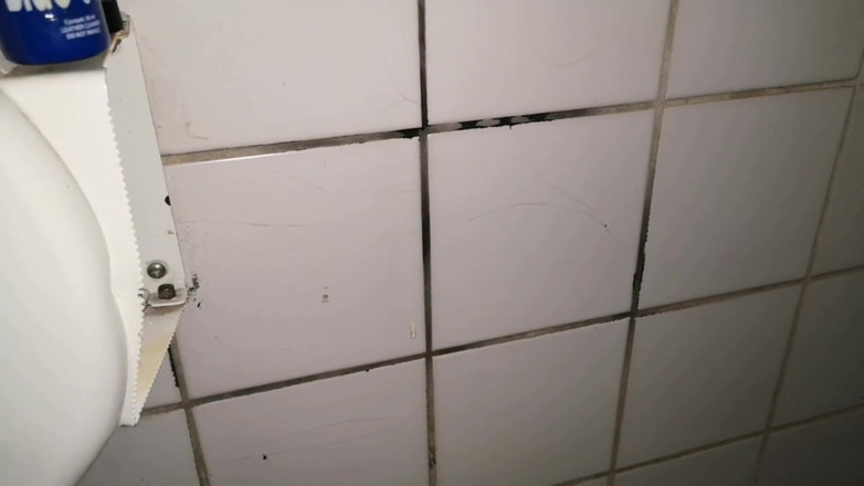 Monster_Meat_: Auf der toilette wichsen