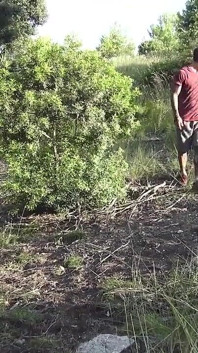 Il guardiano della foresta
