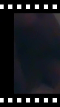 Půlnoční pejsek
