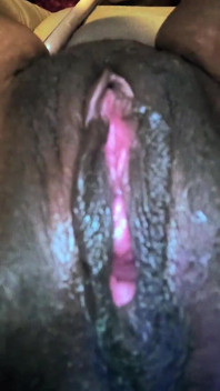 All My Pussy