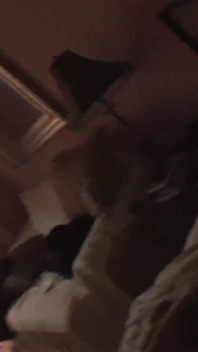 Girl's Night Out / Cock Meat Sandwich