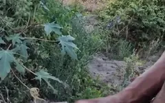 BBC Out for a Walk