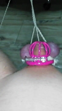 Sissy in Chastity CBT Balls Tied and Stretched Until They Turned Purple