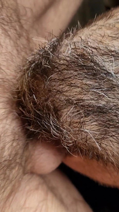 Sexydick: 배드 보이 재미