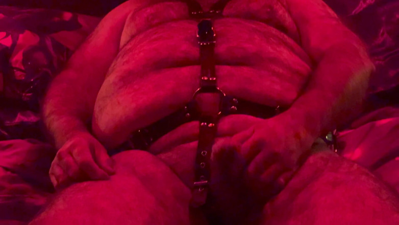 Aaexperiences Gay: Orso lanista joi