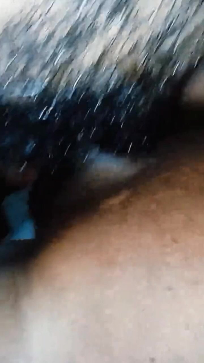 Jhon Hamster: Смокчи мій член, поки не сквіртує