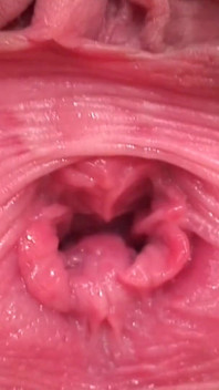 Sexy mladá učitelka Amanda Carson si honí kundičku ve třídě